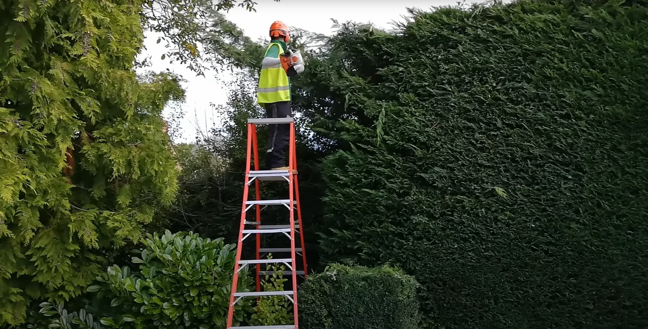 Professional shrub and hedge trimming services on ladder in Laredo, TX