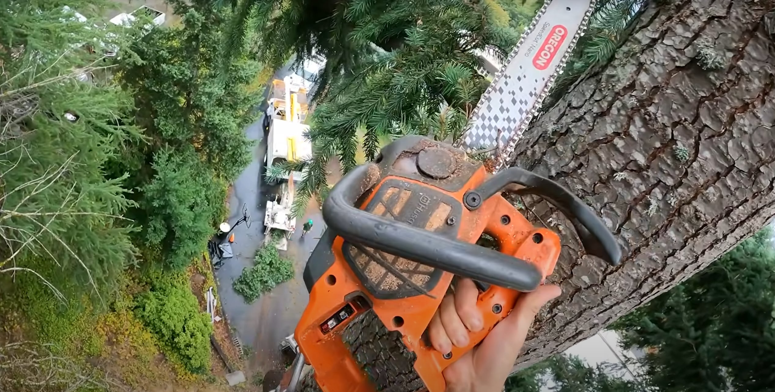Expert arborist climbing tree with chainsaw for professional trimming in Laredo, TX